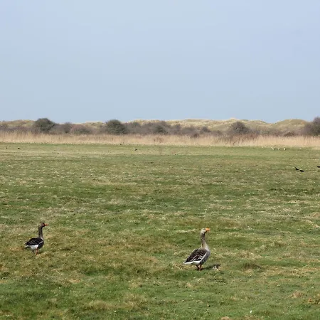 Βίλα Peaceful In De Koog Near Sea Westermient