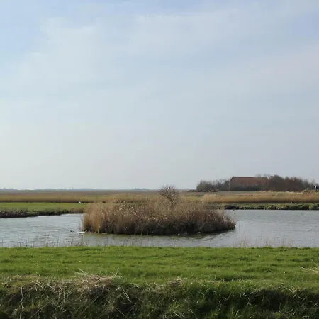 Peaceful In De Koog Near Sea