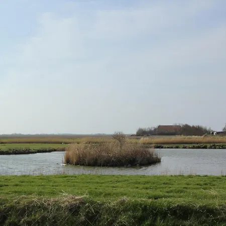 Vila In Texel Near And Nature Reserve *