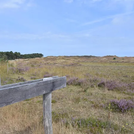 In Texel Near And Nature Reserve * Westermient