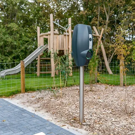 In Texel Near And Nature Reserve Westermient