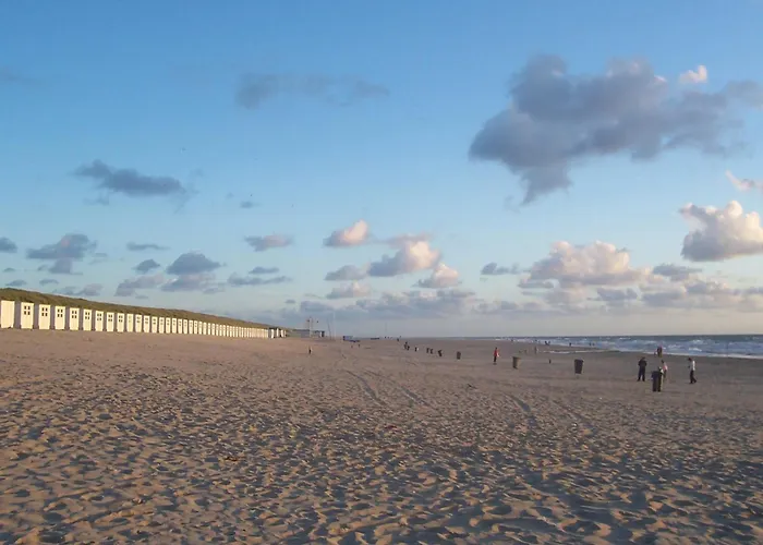 In Texel Near And Nature Reserve Westermient