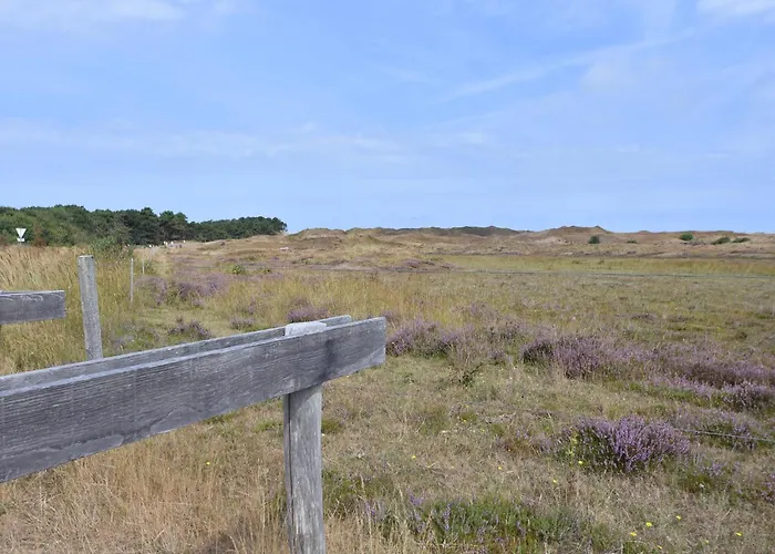 In Texel Near And Nature Reserve * Westermient
