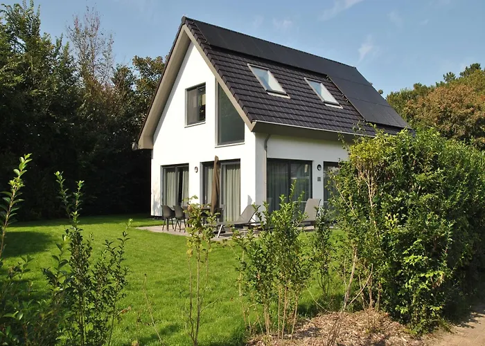 In Texel Near And Nature Reserve * Westermient