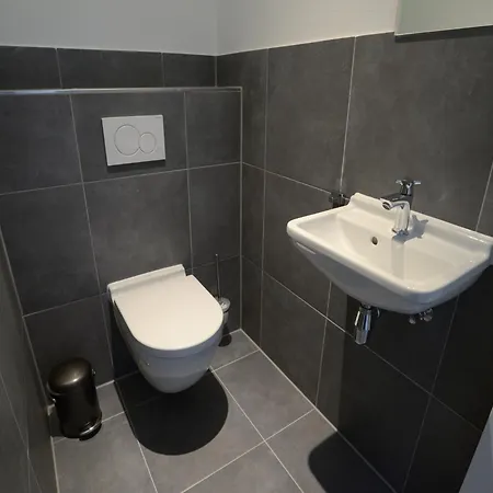 In Texel Near And Nature Reserve Westermient